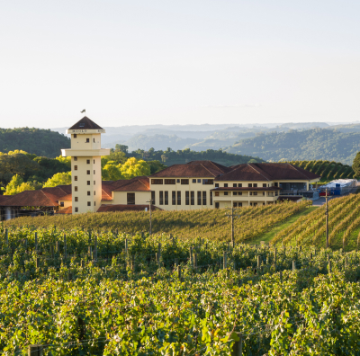 SERRA GAÚCHA E SEUS CONTRASTES                                                                      