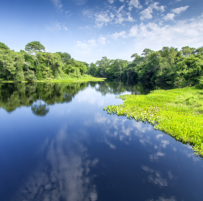 PANTANAL RIVER CRUISE I                                                                             