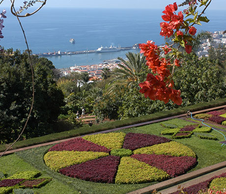 AS MAGIAS DA ILHA DA MADEIRA                                                                        