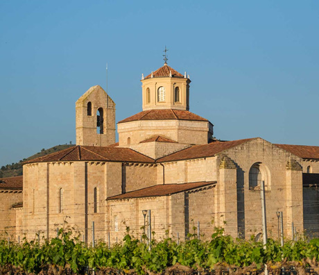 DESCUBRA AS TERRAS DO VINHO                                                                         